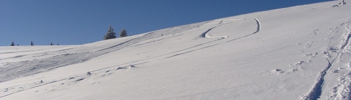 Domeniul-Schiabil-Sureanu-partii-schi-ski-si-snowboard
