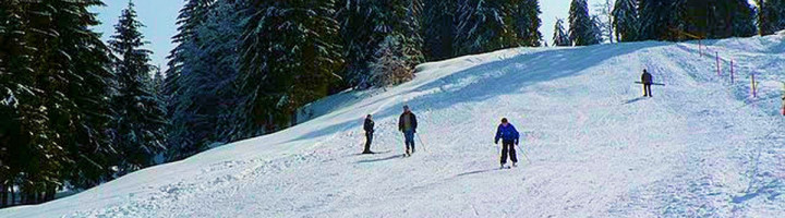 partia-de-ski-magarul-stana-de-vale-bihor-romania-ski-si-snowboard