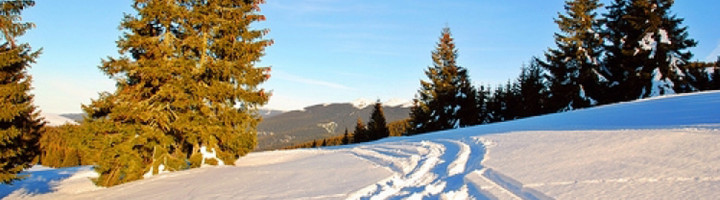 partia-magarul-stana-de-vale-bihor-romania-ski-si-snowboard