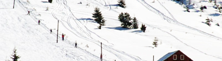 partia-comandau-judetul-covasna-romania-ski-si-snowboard-4