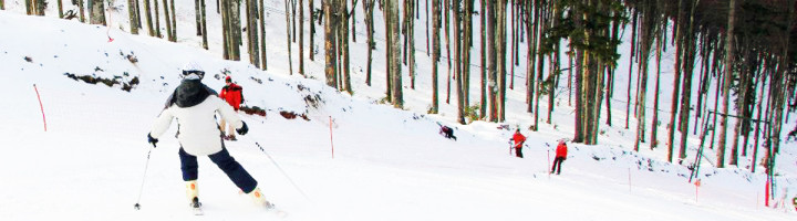 partie-schi-bogdan-2-telescaun-baile-sarate-praid-bucin-harghita-romania-ski-si-snowboard-9