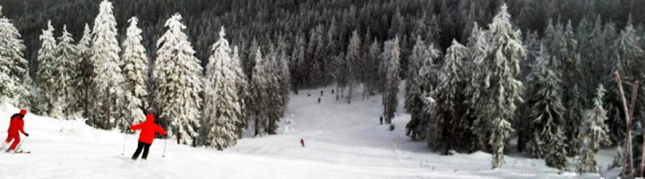 partii-madarasi-harghita-fun-park-ski-si-snowboard-romania-zapada-munte-iarna-statiune-te-dai-