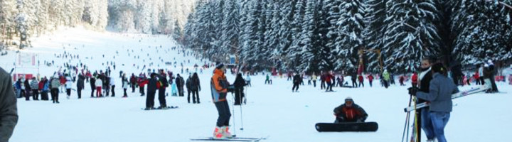 poiana-brasov-partii-ski-si-snowboard-romania-partia-bradul