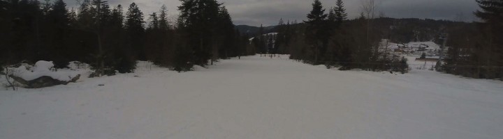 sss-borsec-partia-raza-soarelui-ski-si-snowboard-4