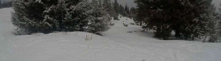 sss-buscat-partia-p-1-prin-padure-statiunea-muntele-baisorii-ski-si-snowboard-2015-cluj