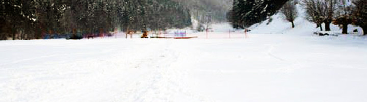 4-partie-de-schi-perisani-valcea-romania-ski-si-snowboard-munte-statiune-iarna