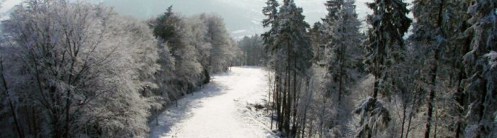 9-cozla-neamt-piatra-ski-snowboard-schi-zapada-munte-iarna-statiune-partie-partii