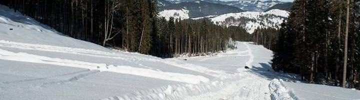 sss-8-partia-tronson-1-rarau-campulung-moldovenesc-ski-si-snowboard-suceava-zapada-munte-iarna-proiect-zona-studiata-te-dai