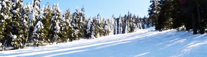 sss-partia-ghelinta-covasna-schi-ski-snowboard
