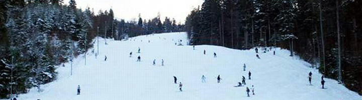 sss-partia-runc-1-2-campulung-moldovenesc-suceava-romania-ski-snowboard-zapada-munte-schi