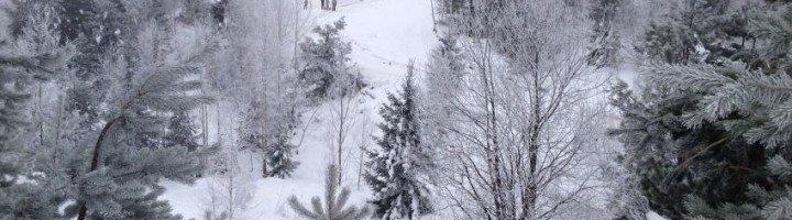 sss-garana-partii-ski-snowboard-schi-caras-sebes
