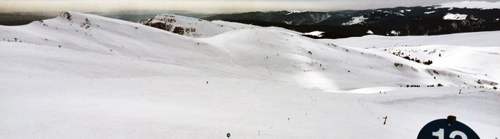 sss-pe-ce-partii-te-dai-martie-romania-ski-si-snowboard-schi