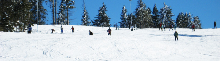 partia-piatra-graitoare-judetul-bihor-nucet-ski-si-snowboard-punct-ro