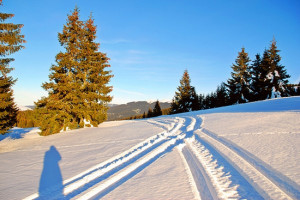 Click pe imagine pentru afișarea ei în întregime