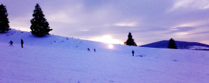 Click pe imagine pentru afișarea ei în întregime