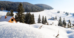 Click pe imagine pentru afișarea ei în întregime