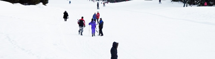 partie-havas-bucsin-harghita-romania-ski-si-snowboard-statiune-zapada-munte-iarna-