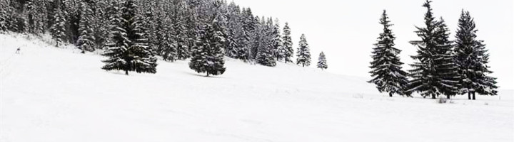 _-partie-izvorul-muresului-harghita-ski-si-snowboard-romania-zapada-statiune-munte-iarna