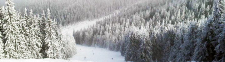 partii-madarasi-harghita-fun-park-ski-si-snowboard-romania-zapada-munte-iarna-statiune-te-dai-2