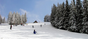 Click pe imagine pentru afișarea ei în întregime