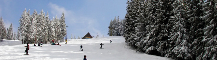 0-paltinis-sibiu-romania-ski-snowboard-statiune-munte-iarna-zapada-partie-schi