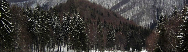 1-sovata-alunis-ski-si-snowboard-schi-judetul-mures-zapada-iarna-statiune-munte