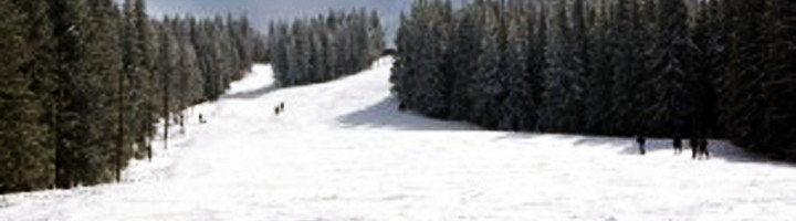 2-paltinis-sibiu-romania-ski-snowboard-statiune-munte-iarna-zapada-partie-schi