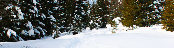 3-paltinis-sibiu-romania-ski-de-tura-Poiana-Gaujoara-snowboard-statiune-munte-iarna-zapada-partie-schi